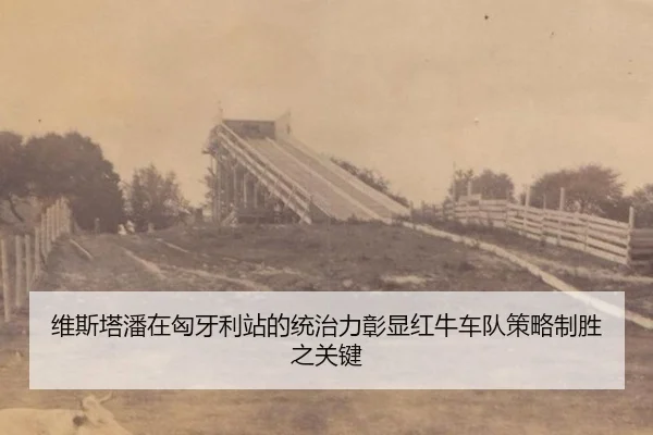 维斯塔潘在匈牙利站的统治力彰显红牛车队策略制胜之关键